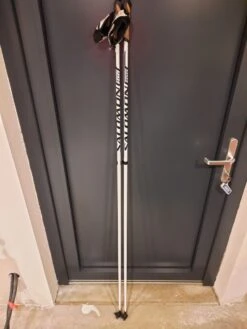 Salomon RS Carbon, RCR Skate, 100 Equipe Carbone -BOLLE Skis Magasin 6 4