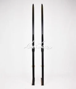 Rossignol Delta Sport -BOLLE Skis Magasin 63cd0d2f9f0fd5.83992912 phplrvhpl